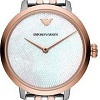 Наручные часы Emporio Armani AR11157