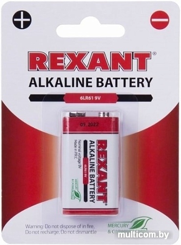 Батарейки Rexant 6LR61 30-1061