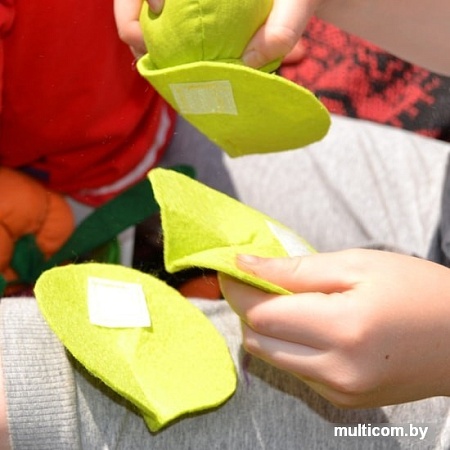 Набор игрушечных продуктов Paremo Овощи с карточками PK320-15 (5 предметов)