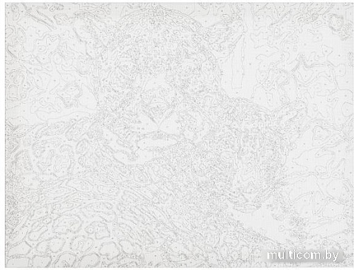 Картина по номерам MultiArt Леопарды CANV30X40-MULTI46
