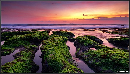 Информационная панель Samsung QB75B LH75QBBEBGCXCI