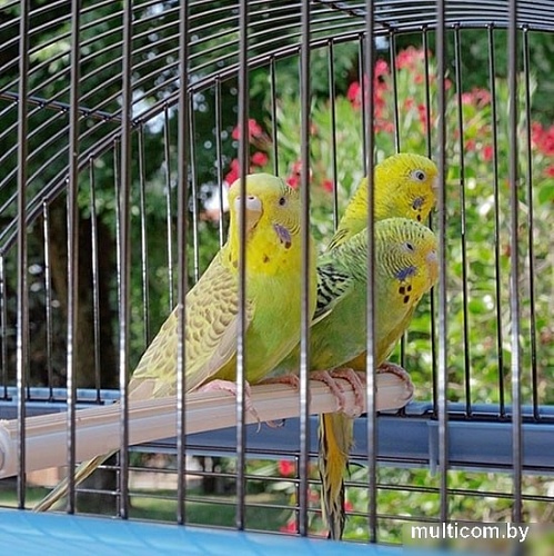 Клетка Ferplast Palladio 4 (голубой) 52059817W1