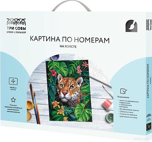 Три совы Взгляд из джунглей КХ4050_53922