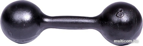 Titan литая ГЛЧ/8 8 кг