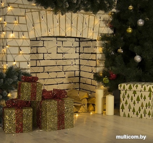 Световая сетка Luazon Сеть 2x2 м 3556876