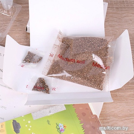 Набор для опытов Darvish 3D Мельничный садик DV-T-2178-1