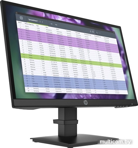 Монитор HP P22 G4