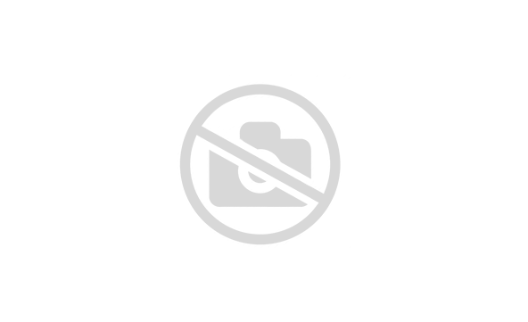 Подвесная вытяжка Rainford RCH-1602 metalic