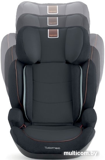 Детское автокресло Inglesina Tolomeo (серый)