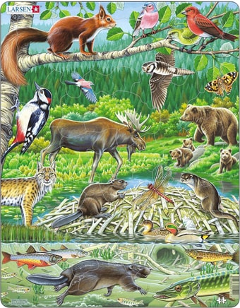 Мозаика/пазл Larsen Северный лес FH15