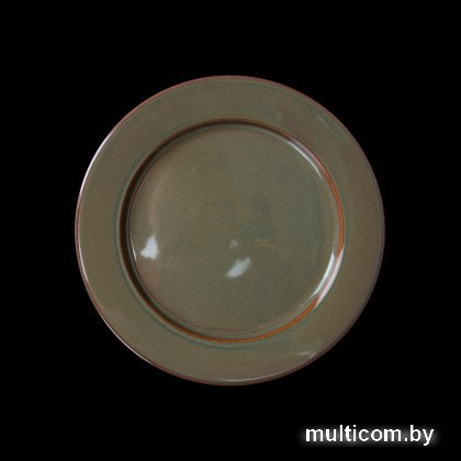 Тарелка обеденная Corone Gourmet Colore LQ-QK15173C-YB001 фк1453