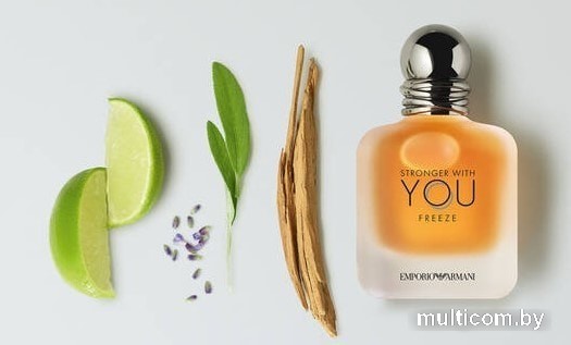 Giorgio Armani Stronger With You Freeze EdT (50 мл)