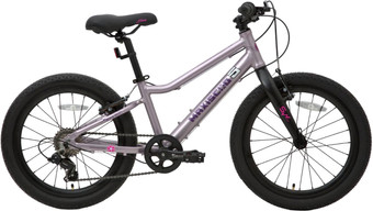 Детский велосипед Maxiscoo 5Bike 20 L 2024 (розовый сапфир)
