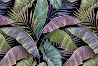 Фотообои Vimala Рисованные листья 11 270x400