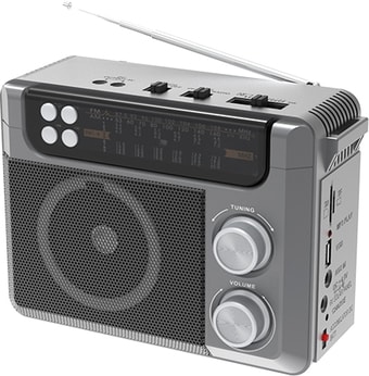 Радиоприемник Ritmix RPR-200 (серый)