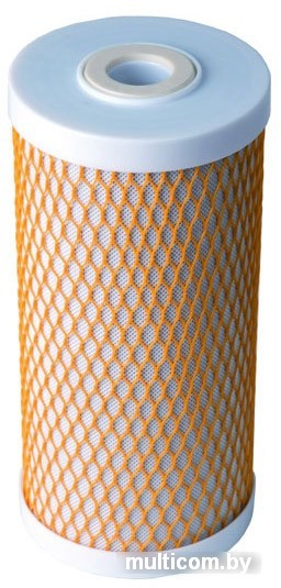 Картридж Гейзер Арагон 3 10BB