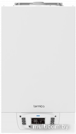 Отопительный котел Termica Grata 32 SF