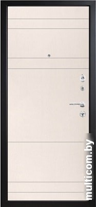 Металлическая дверь Металюкс М395 (96x205)