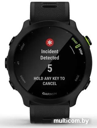 Умные часы Garmin Forerunner 55 (черный)