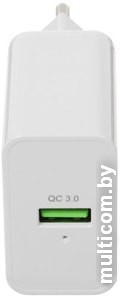 Сетевое зарядное Canyon CNE-CHA24W
