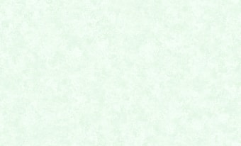 Виниловые обои Erismann Tessa 6189-5