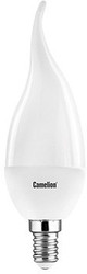 Светодиодная лампа Camelion CW35 E14 5 Вт 3000 К [12033]