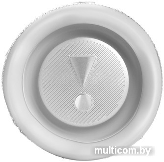 Беспроводная колонка JBL Flip 6 (белый)