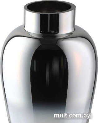 Eglo Kenyasi 421364 (стекло, прозрачный/серебряный/еркальный)