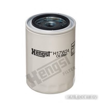 Hengst H17W24