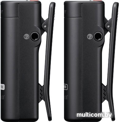 Микрофон Sony ECM-AW4