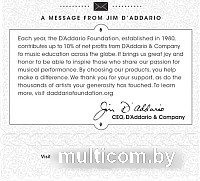 Струны для гитары D'Addario EJ49