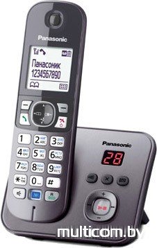 Радиотелефон Panasonic KX-TG6821