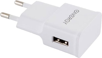 Сетевое зарядное Energy ET-09 (белый)