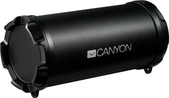 Беспроводная колонка Canyon CNE-CBTSP5
