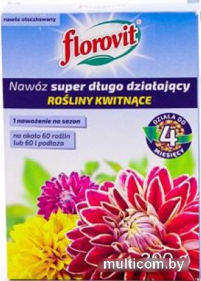 Удобрение Florovit Супер длительного действия, для цветущих (0.3 кг, коробка)