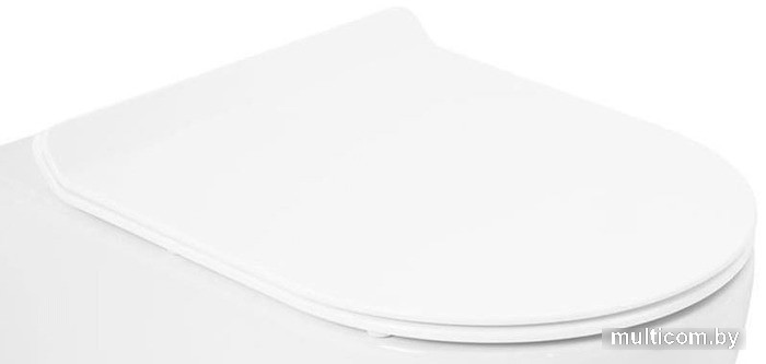 Сиденье для унитаза Cezares CZR-2011-SC