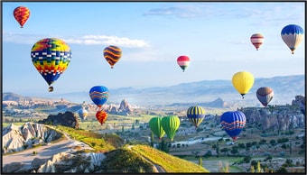 Информационная панель Panasonic TH-86SQ1W