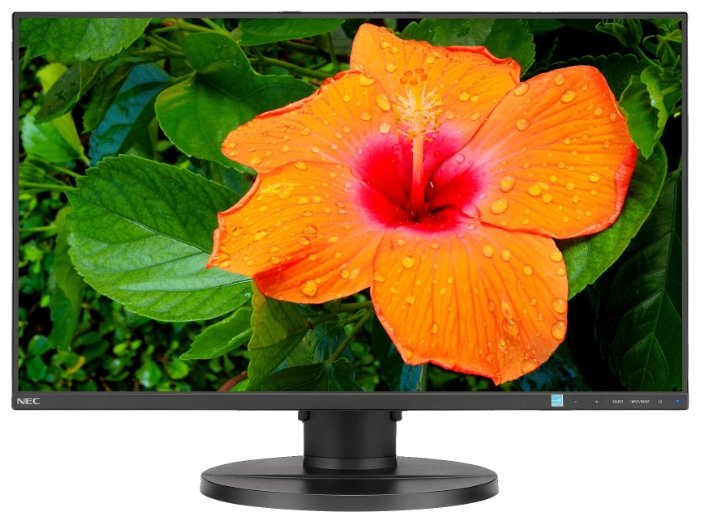 Монитор NEC MultiSync E271N