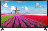 Телевизор LG 49LJ594V