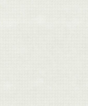 Флизелиновые обои Rasch 102116