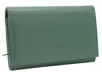 Кошелек Cedar 4U Cavaldi RD-22-GCL (бирюзовый)