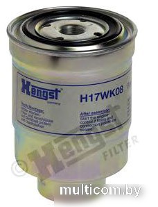 Hengst H17WK08