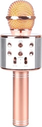 Микрофон Wise WS-858 (розовый)