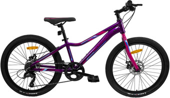 Детский велосипед Maxiscoo Starlight MSC-SL2401-7-G (темный маджента)