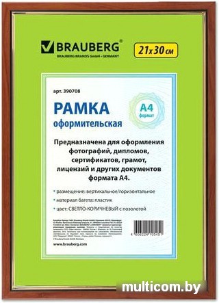 Фоторамка BRAUBERG Hit 390708