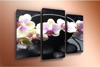 Модульная картина Arthata m-000503 120x80