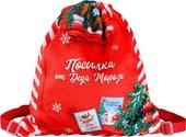 Мешок для обуви Milo Toys Посылка от Деда Мороза 9720697