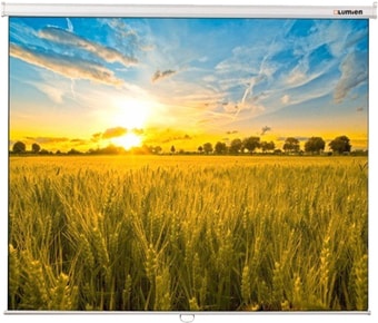 Проекционный экран Lumien Eco Picture 190x300 LEP-100125