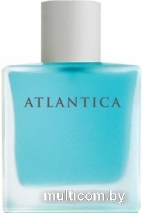 Dilis Parfum Atlantica Alpha&Omega EdT 100 мл