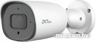 IP-камера ZKTeco BL-855L38S-E3